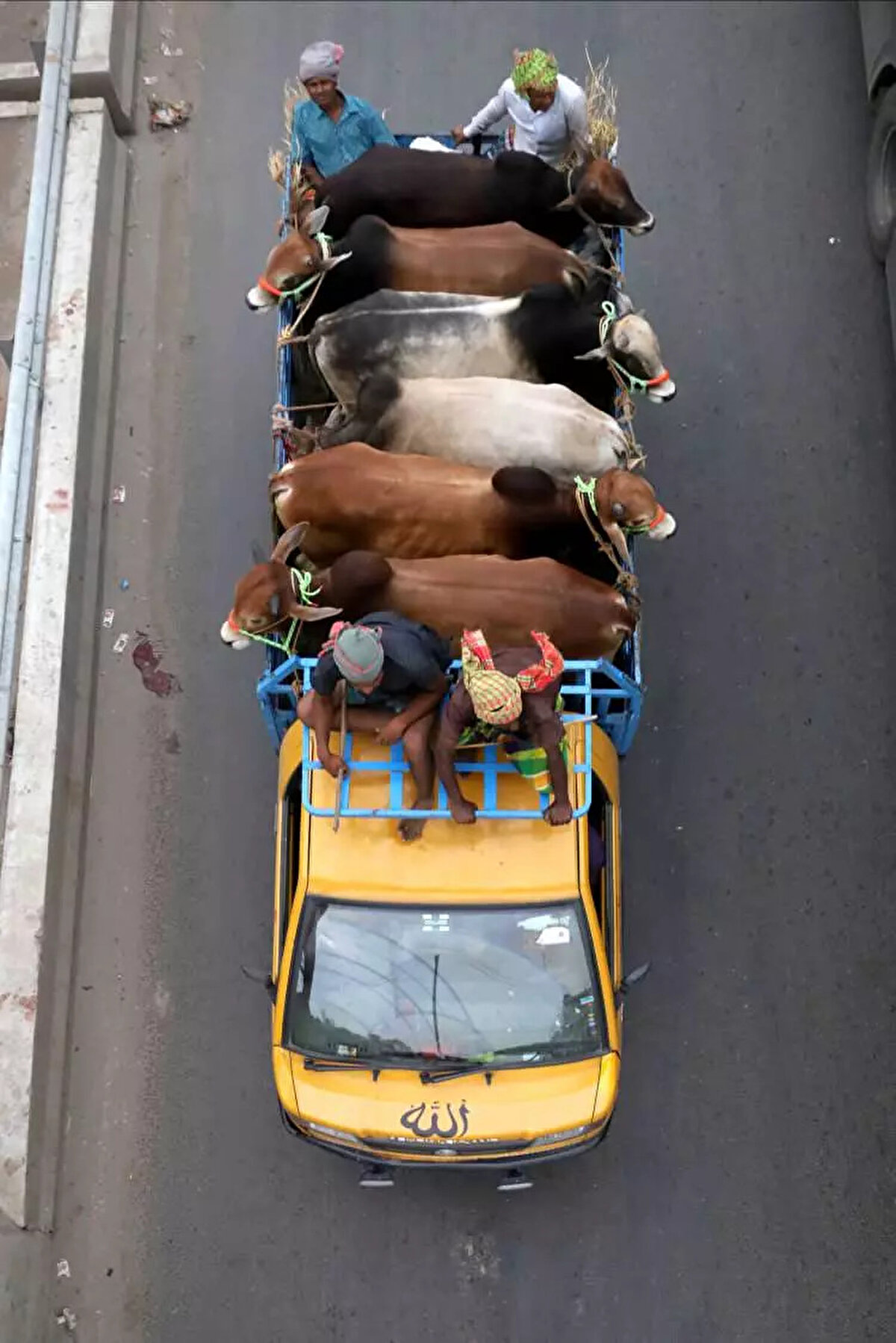 İzmit Kurbanlık Fiyatları: <br><br> <br><br>Büyükbaş: 120.000-250.000 TL<br><br> <br><br>Küçükbaş: 15.000-25.000 TL