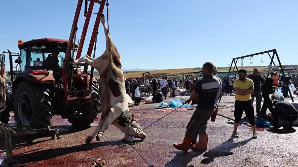 Şanlıurfa Kurbanlık Fiyatları: <br><br> <br><br>Büyükbaş: 100.000-160.000 TL<br><br> <br><br>Küçükbaş: 10.000-17.000 TL