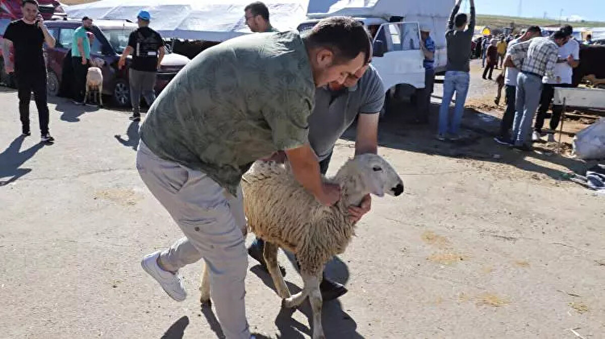 Konya Kurbanlık Fiyatları: <br><br> <br><br>Büyükbaş: 100.000-180.000 TL<br><br> <br><br>Küçükbaş: 8.000-17.000 TL<br><br>