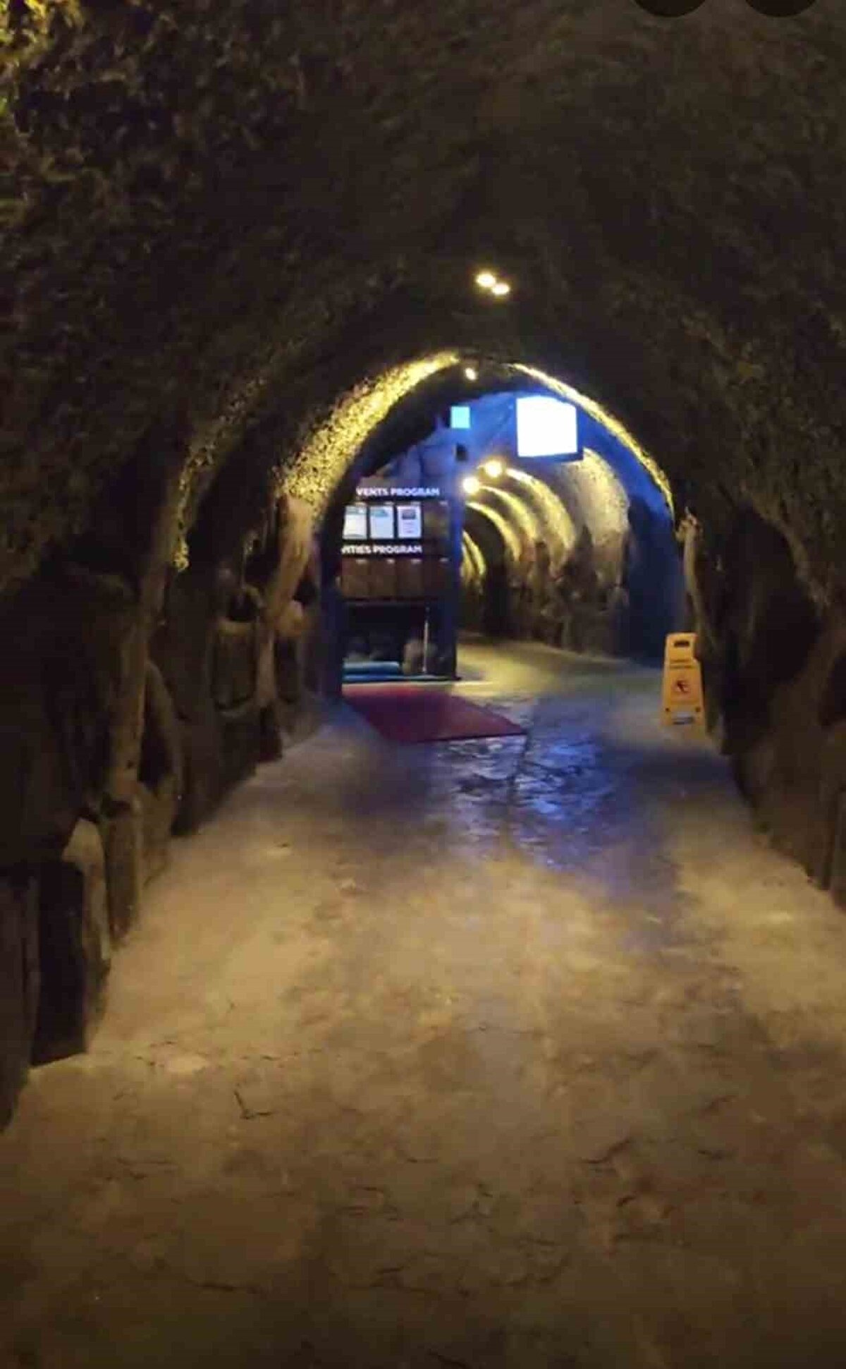 Tünellerin yıllardır birçok kesim tarafından bilindiğini ancak otellerde konaklayan misafirler tarafından görüntülerin internette paylaşılmasının ardından ortaya çıktığını söyleyen Akdeniz Üniversitesi (AÜ) Mühendislik Fakültesi İnşaat Mühendisliği Bölümü’nden Prof. Dr. Nihat Dipova, "Antalyalılar ve turistler falezlerden denize girmek istiyor. Bunun sağlanması içinde merdiven, asansör veya tünel yapmak lazım. Sadece tüneller değil, asansörlerde hem görsel kirlilik açısından hem de doğaya verdiği zarar açısından çok masum değildir. Bu tünel konusu Antalya’da birçok kişi biliyor ama asıl görüntülerin ortaya çıkması otel misafirlerinin müşterilerinin görüntüler çekip bunu internette paylaşmaları sonucu ortaya çıktı. Tüm ayrıntıları ve detayları ile Antalyalılar bunu görmüş oldu" dedi.