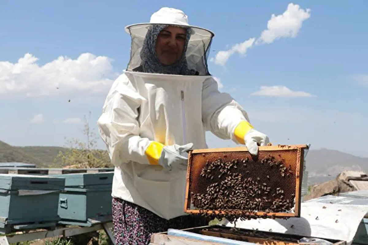 Kayseri'de çocukları için 6 yıl önce 5 kovan ile arıcılığa başlayan 3 çocuk annesi Şerife Yurdakul (43), çevresindeki insanların baskılara rağmen geçen sürede kovan sayısını 50'ye çıkarmayı başardı. <br><br>