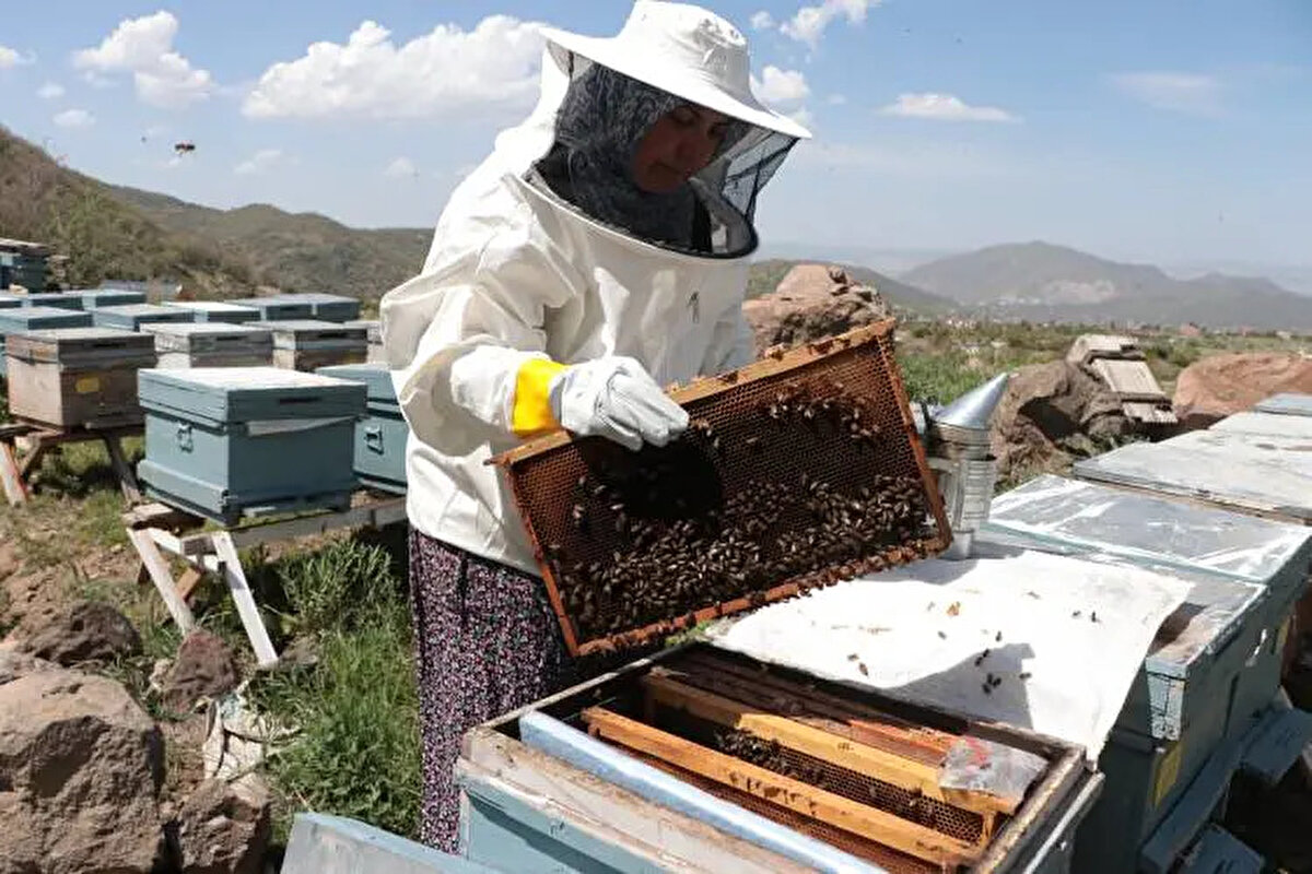 Arılarını ormanda yetiştiren Yurdakul hem hastalığıyla mücadele ediyor hem de çocuklarını okutabilmek için üretiyor.
