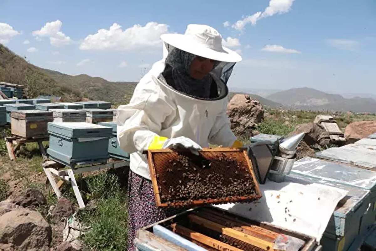 5'TEN 50'YE ÇIKTI <br><br>Üniversiteye giden kızına harçlık gönderebilmek bu işi sürdüren Yurdakul, geçen süreçte kovan sayısını 50'ye çıkardı.