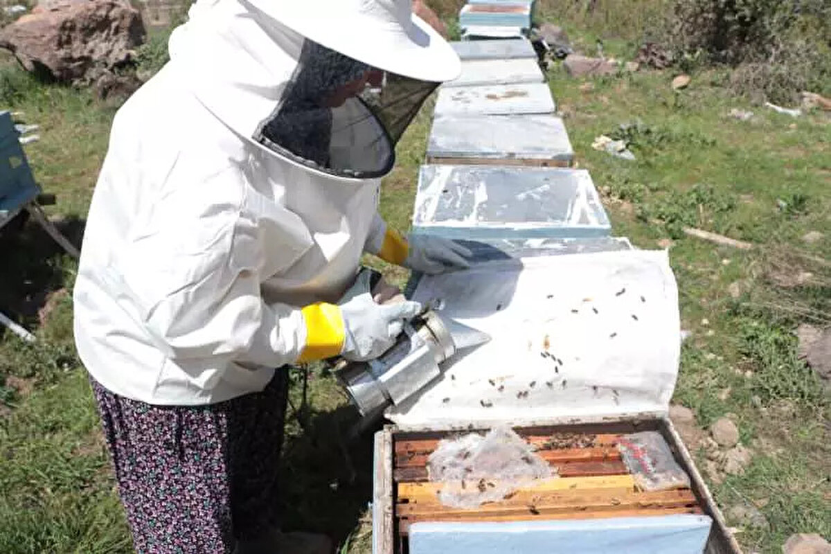 "MÜCADELE ETMEK DURUMUNDA KALDIM"<br><br>Arıcılık yaparken çevresi tarafından çeşitli baskılara maruz bırakıldığını aktaran Yurdakul, "Bu işi üniversiteye giden kızıma, bir anne olarak harçlık verebilmek için yapma kararı almıştım zaten. Devam ettirmeye çalışıyorum ama hastalığımın zorluğuyla bu işi ilerletirken ayrıca çevreden gelen baskılardan, bir kadın olmamdan dolayı hakkımda ihbar ve itirazlar yapıldı. Resmi olmama rağmen hiçbir cezam, hiçbir suçum, hiçbir tutanağım olmamasına rağmen, kurumlarla mücadele etmek durumunda kaldım." dedi.  