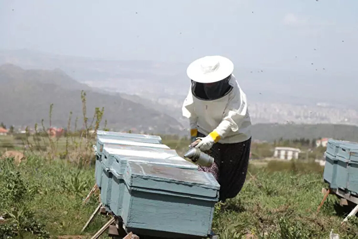 "İLLA OKUMUŞ OLMAK ŞART DEĞİL" <br><br>Diğer annelere de üretmelerini öneren Yurdakul, "Evde oturmak yerine diğer annelere önereceğim tek şey; çocukları için hem evde hem dışarıda mücadele etmeleri. Ellerinden ne geliyorsa, illa okumuş olmak şart değil. Ellerinden gelen şeyin amacı için çalışmalarını öneririm. Bu işe çocuklarım için başladım ama daha farklı sorunlarla da uğraştım. Çocuklarım için hem onlarla hem de hastalığımla mücadele ettim. Çocuklarım için yılmadım. Ayaktayım ve mücadele ediyorum. Bütün annelere de çocukları için mücadele etmelerini öneriyorum. Arılarım ve çocuklarım için buradayım. Arılarımı üretmeye devam edeceğim. Buradan devlet kurumlarından yaşadığım zorluklar için yardım bekliyorum." dedi. 