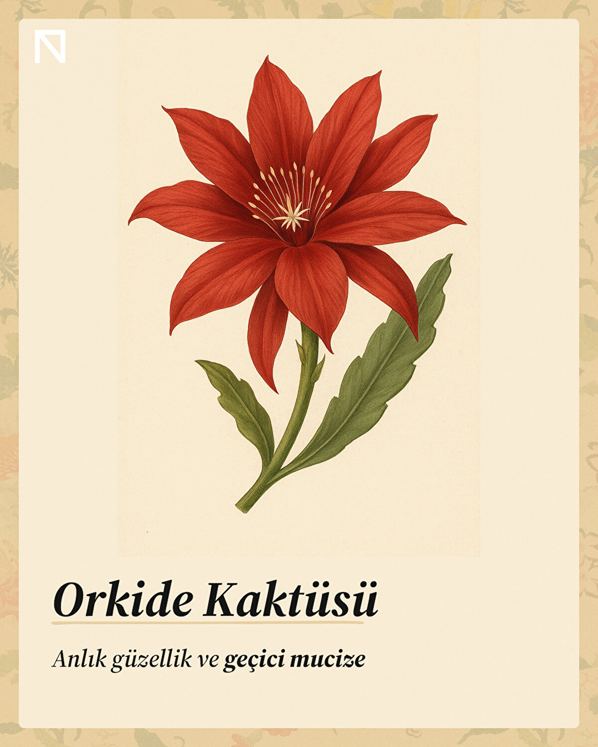 Anlık güzellik ve geçici mucize