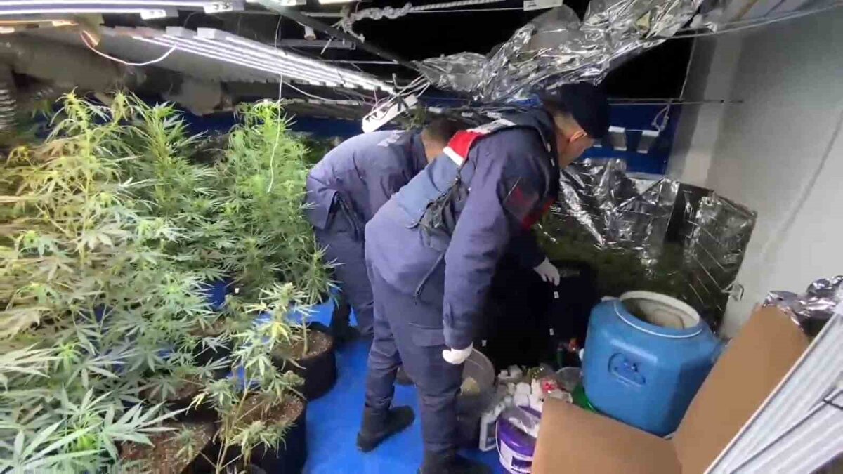 G.G., jandarmadaki işlemlerinin ardından "Uyuşturucu madde imal etmek ve ticareti yapmak" suçundan bugün Samsun Adliyesi’ne sevk edildi.