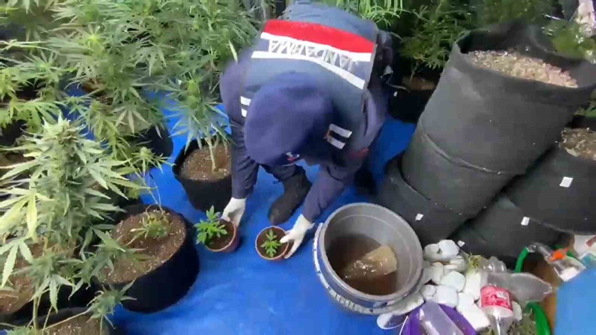 Jandarma operasyon düzenledi<br><br>Samsun İl Jandarma Komutanlığı Kaçakçılık ve Organize Suçlarla Mücadele (KOM) Şube Müdürlüğü, İstihbarat Şube Müdürlüğü ve İlkadım İlçe Jandarma Komutanlığı ekipleri, teknik ve fiziki takip sonucu belirlenen adrese operasyon düzenledi.