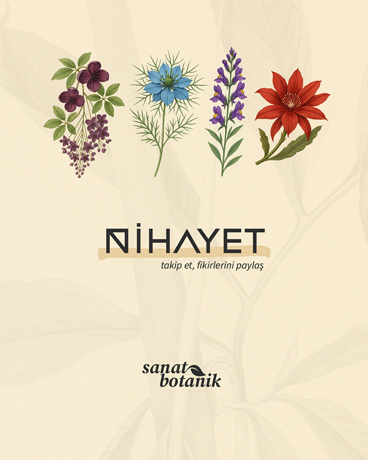 Nihayet'i takip etmeyi unutmayın.