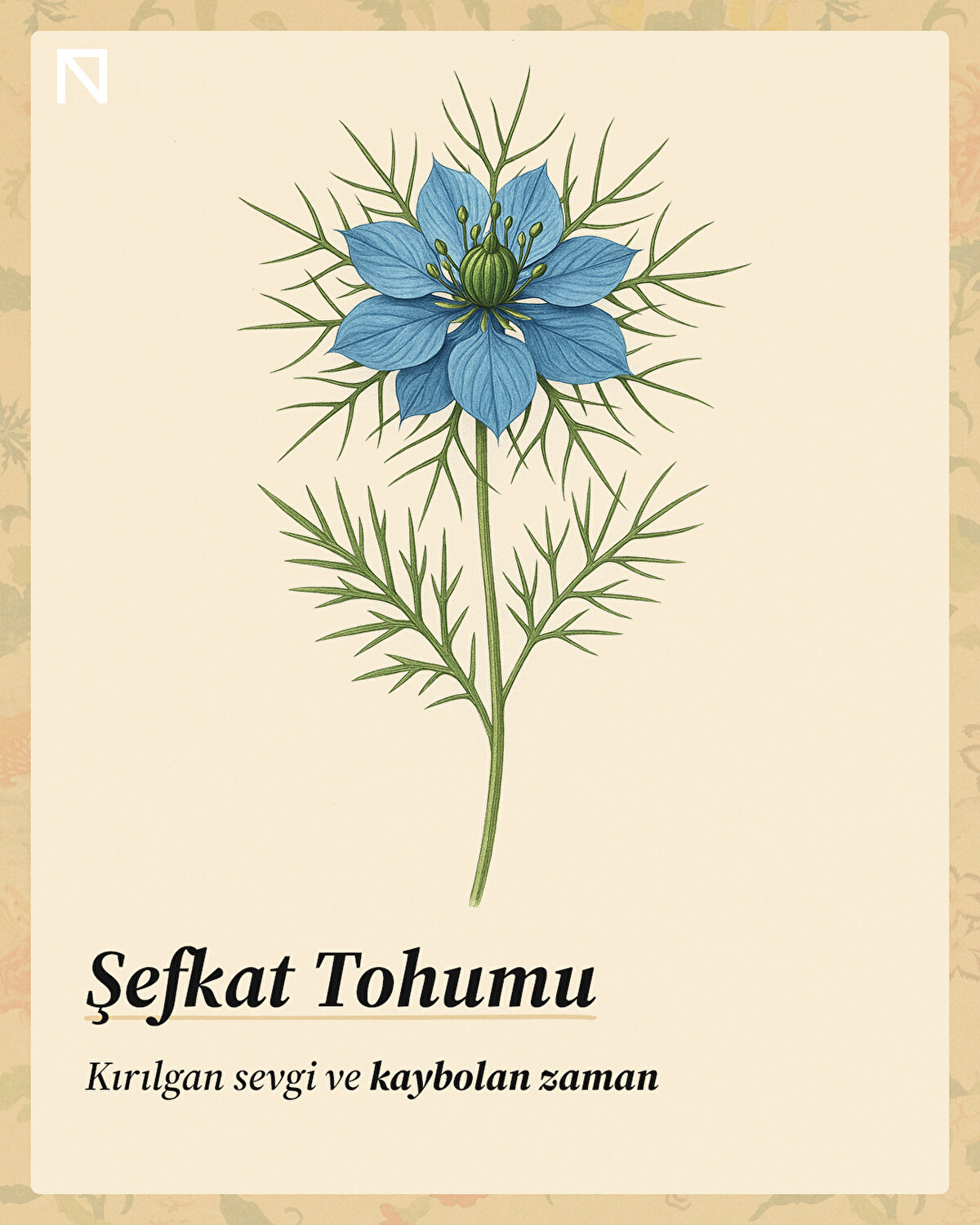 Kırılgan sevgi ve kaybolan zaman