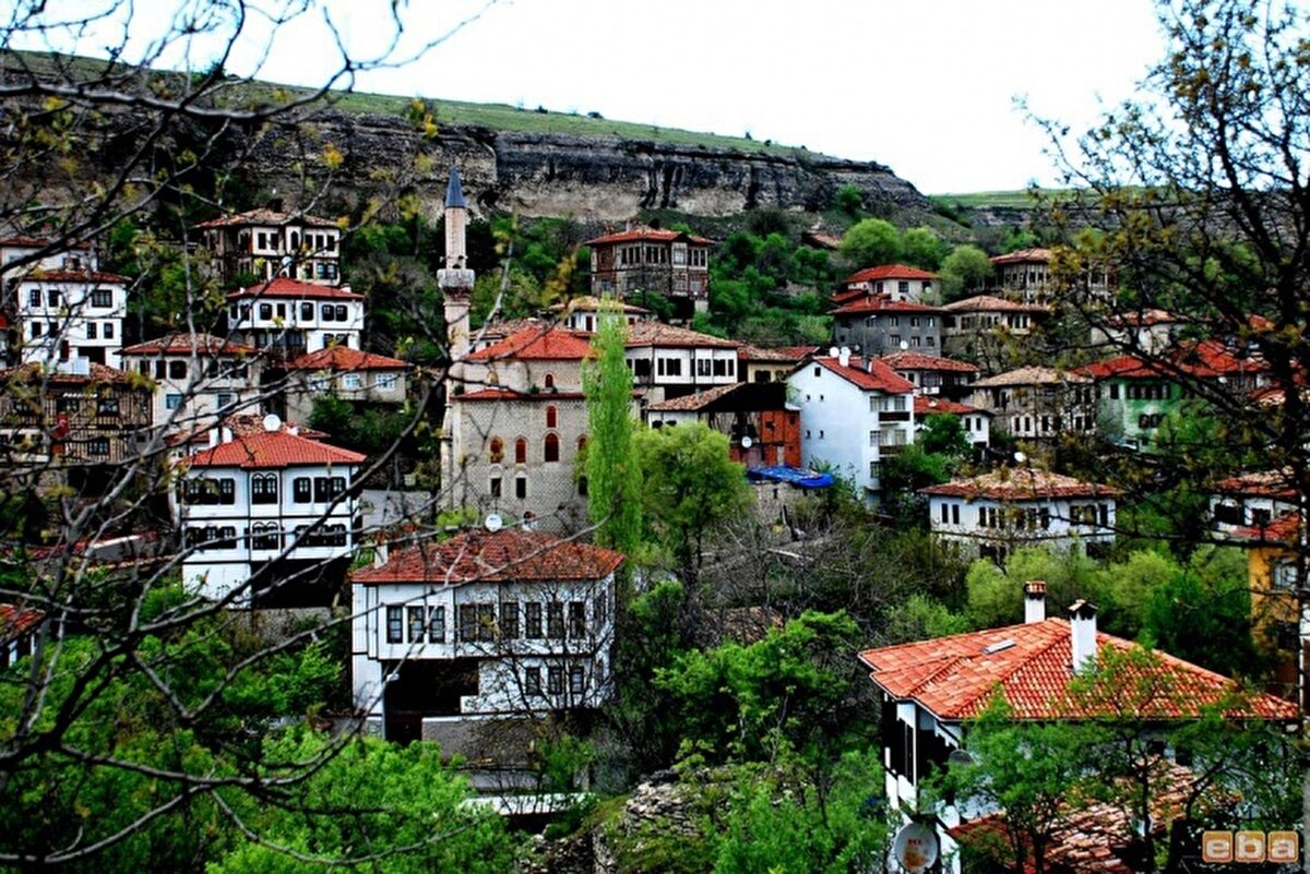 16) Karabük<br>Toplam servet: 1,8 milyar $<br>Zengin sayısı: 1