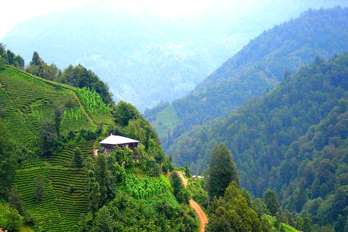 6) Rize<br>Toplam servet: 5,2 milyar $<br>Zengin sayısı: 5