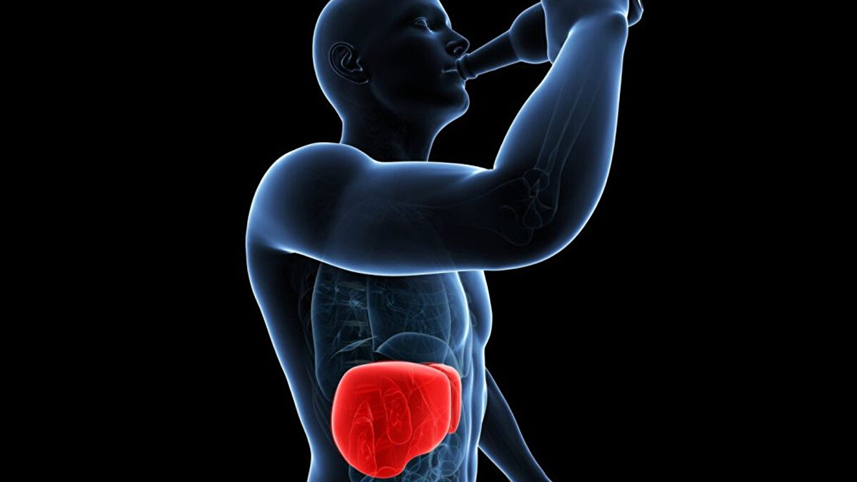🧬 Vücudun Yenilenme Süreci Başlıyor<br>Uzmanlara göre, alkolü bırakmak karaciğerden kalbe, uykudan ruh haline kadar birçok sistemde iyileşme sağlıyor. Karaciğerin kendini yenileme kapasitesi sayesinde, alkolün neden olduğu ilk aşama hasarlar tersine çevrilebiliyor. Alkol bırakıldığında sadece karaciğer değil; bağışıklık sistemi, kalp ve beyin de toparlanmaya başlıyor.