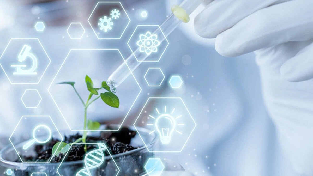 400 ÇALIŞANI BULUNUYORDU<br>Yaklaşık 400 çalışanı bulunan şirket, yıllık 700 milyon Euro’yu aşan cirosuyla Kuzey Ren-Vestfalya bölgesinin en büyük BT distribütörlerinden biriydi. Ancak artan sektör baskısı ve şirket içindeki mali yeniden yapılanmalar iflas sürecine zemin hazırladı. Özellikle sadece ürün satışına odaklı iş modelinin sürdürülebilir olmaması dikkat çekti.