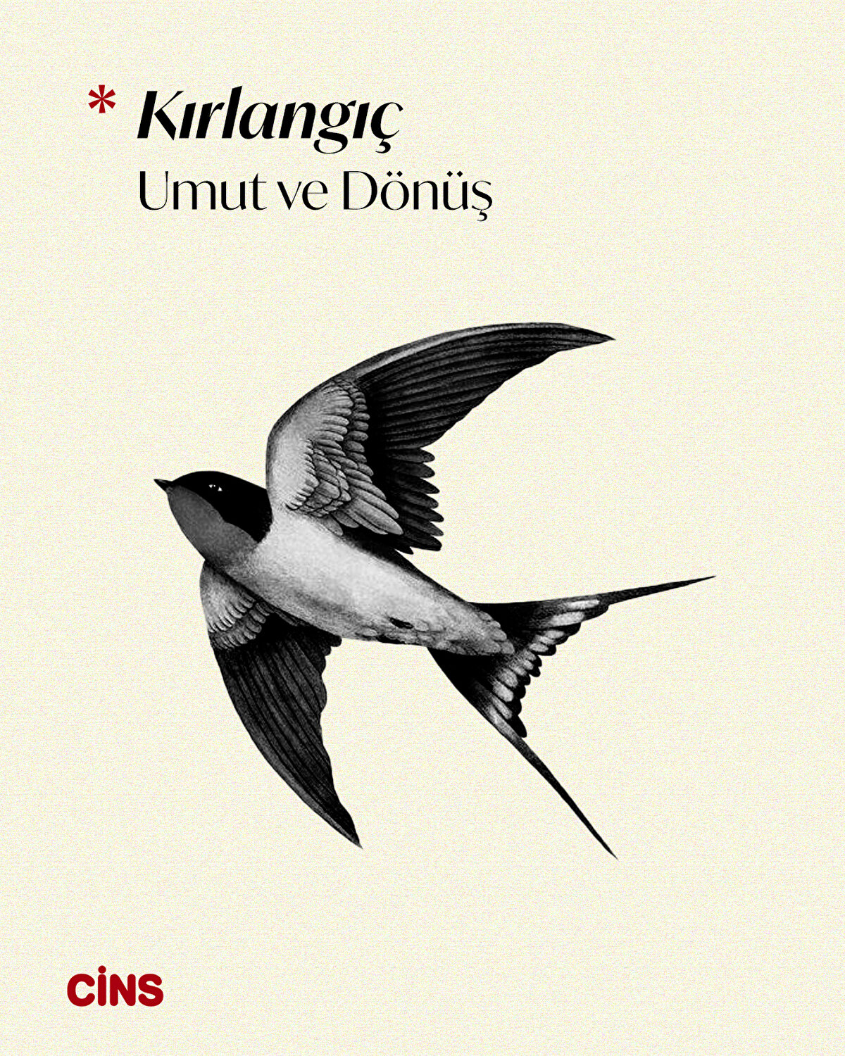 Kırlangıç<br>Umut ve dönüş 