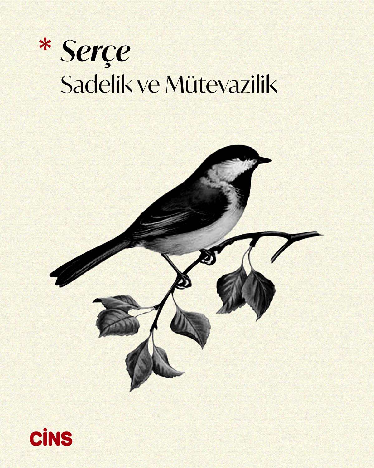 Serçe<br>Sadelik ve Mütevazilik 