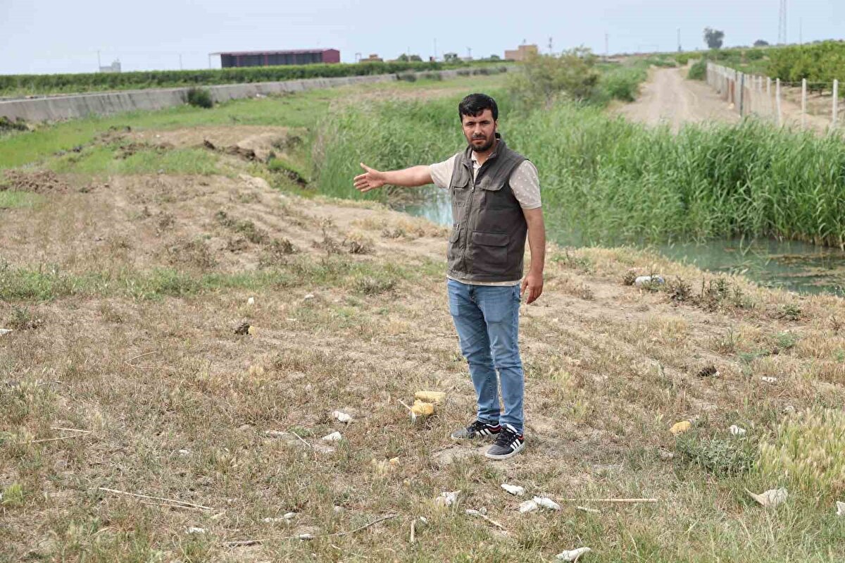 "Bu bir katliam, sessiz kalınamaz"<br>Mera arazisine ve birçok noktaya zehir döküldüğünü öne süren Çiğner, "Bunu yapan insan olamaz. Bu aklı selim bir insanın yapacağı bir şey değil. Bu bir katliam. Bunun başka bir açıklaması yok. Benimle konuşmayabilir, benden nefret edebilir ama böyle bir katliam yapılmaz.