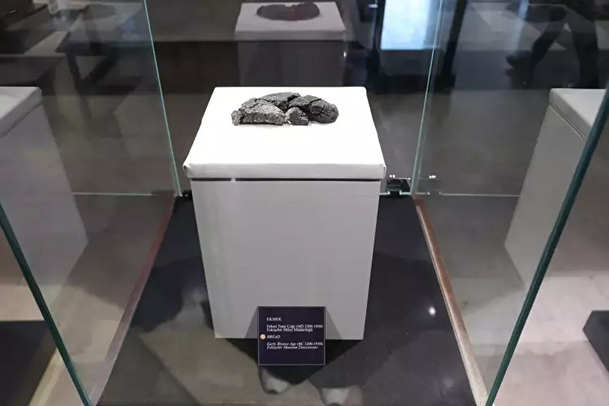 Seyitgazi ilçesine bağlı Yenikent Mahallesi’nde Küllüoba kazı çalışmaları, Kültür ve Turizm Bakanlığı Kültür Varlıkları ve Müzeler Genel Müdürlüğü’nün izniyle 1996 yılında başladı. Aradan geçen zaman içerisinde kazı alanında ilk tunç çağının kültürel özelliklerini ortaya çıkaran objelerin yanı sıra hayvan kemikleri, milattan önce 3 bin yılına uzanan taş sanduka, çömlek mezar yaklaşık 5 bin yıl önce Anadolu’daki ilk şehirleşme yapılanması da ortaya çıkarıldı.