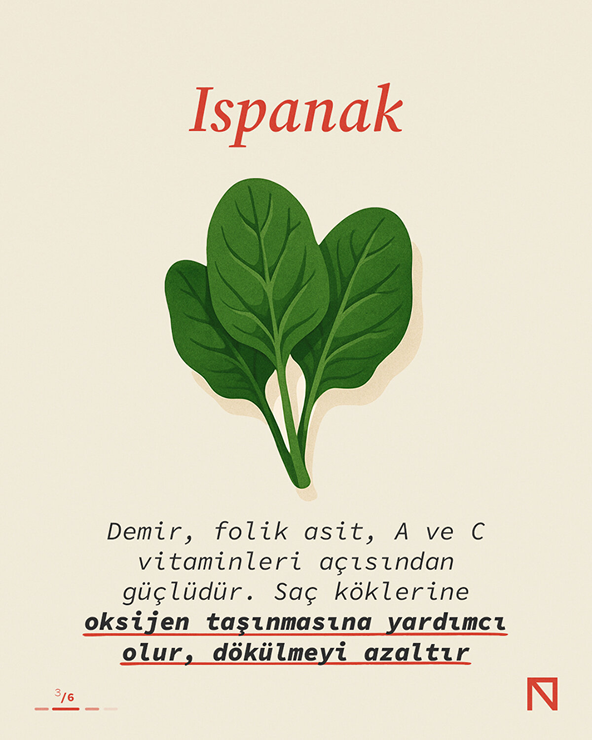 Demir, folik asit, A ve C vitaminleri açısından güçlüdür. Saç köklerine oksijen taşınmasına yardımcı olur, dökülmeyi azaltır
