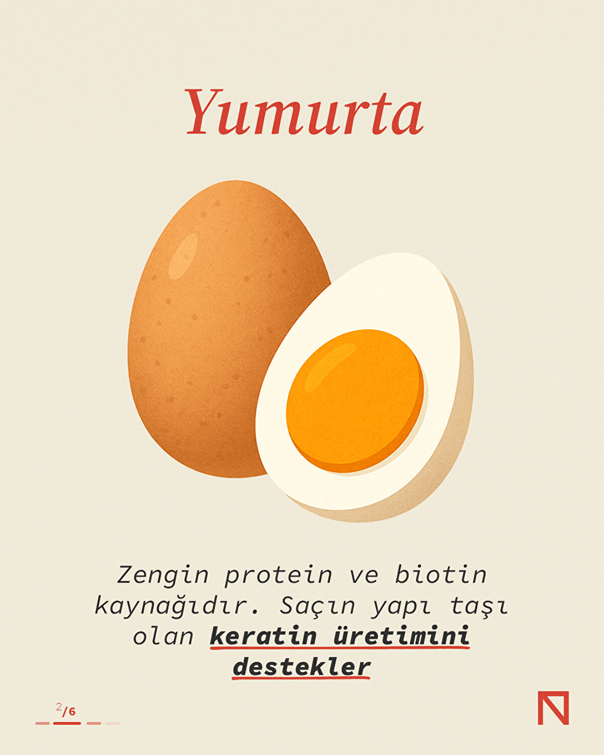 Zengin protein ve biotin kaynağıdır. Saçın yapı taşı olan keratin üretimini destekler