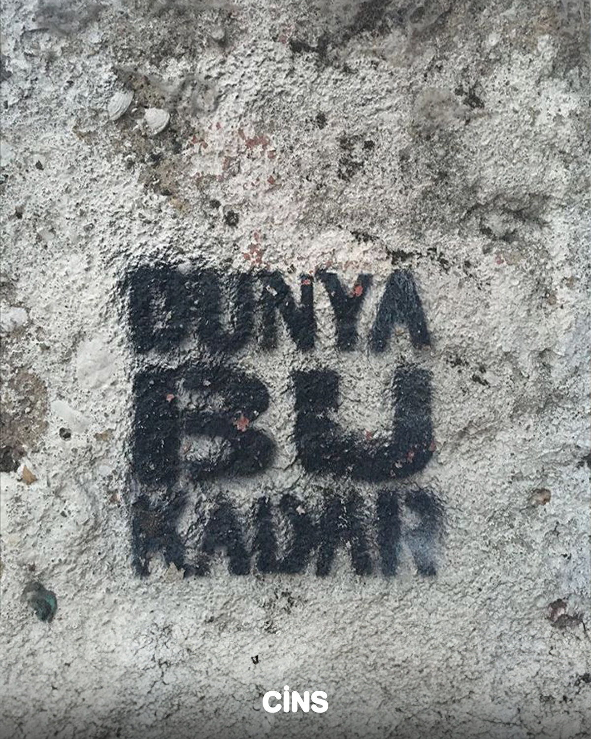Bu dünya bu kadar 