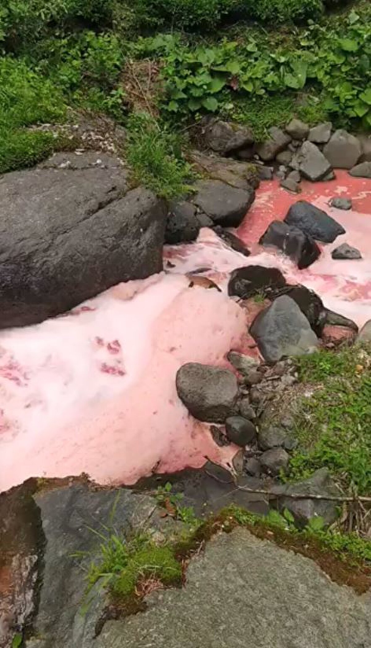 Sahada yapılan tüm gözlemler ve analizler Çevre, Şehircilik ve İklim Değişikliği İl Müdürlüğü tarafından resmi tutanakla kayıt altına alınmıştır. Vatandaşlarımızın bu tür duyarlılıkları memnuniyetle karşılanmakta olup, benzer durumlarda ilgili kurumlarımızla ivedilikle irtibata geçilmesi önemle rica olunur."