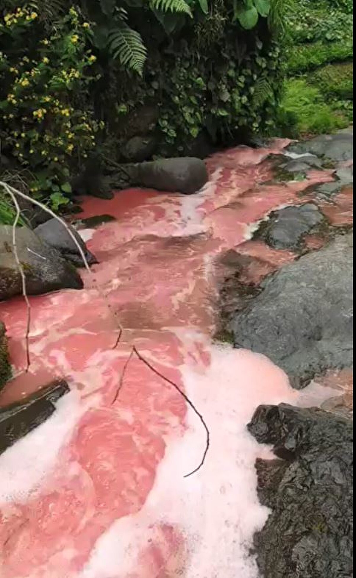 Sudan alınan numunelerin incelendiği belirtilen açıklamada şunlar kaydedildi: "Çevreden numuneler alınmıştır. Ulucami Mahallesi muhtarı ve videoyu çeken vatandaş ile yapılan görüşmeler neticesinde videonun çekildiği alan tespit edilmiştir. Belirlenen noktada yapılan incelemeler sonucunda derenin doğal akışında olduğu, herhangi bir çevresel kirlilik unsuruna rastlanmadığı, dere yatağının üst kotlarında ise konut ya da sanayi yerleşimi bulunmadığı anlaşılmıştır.