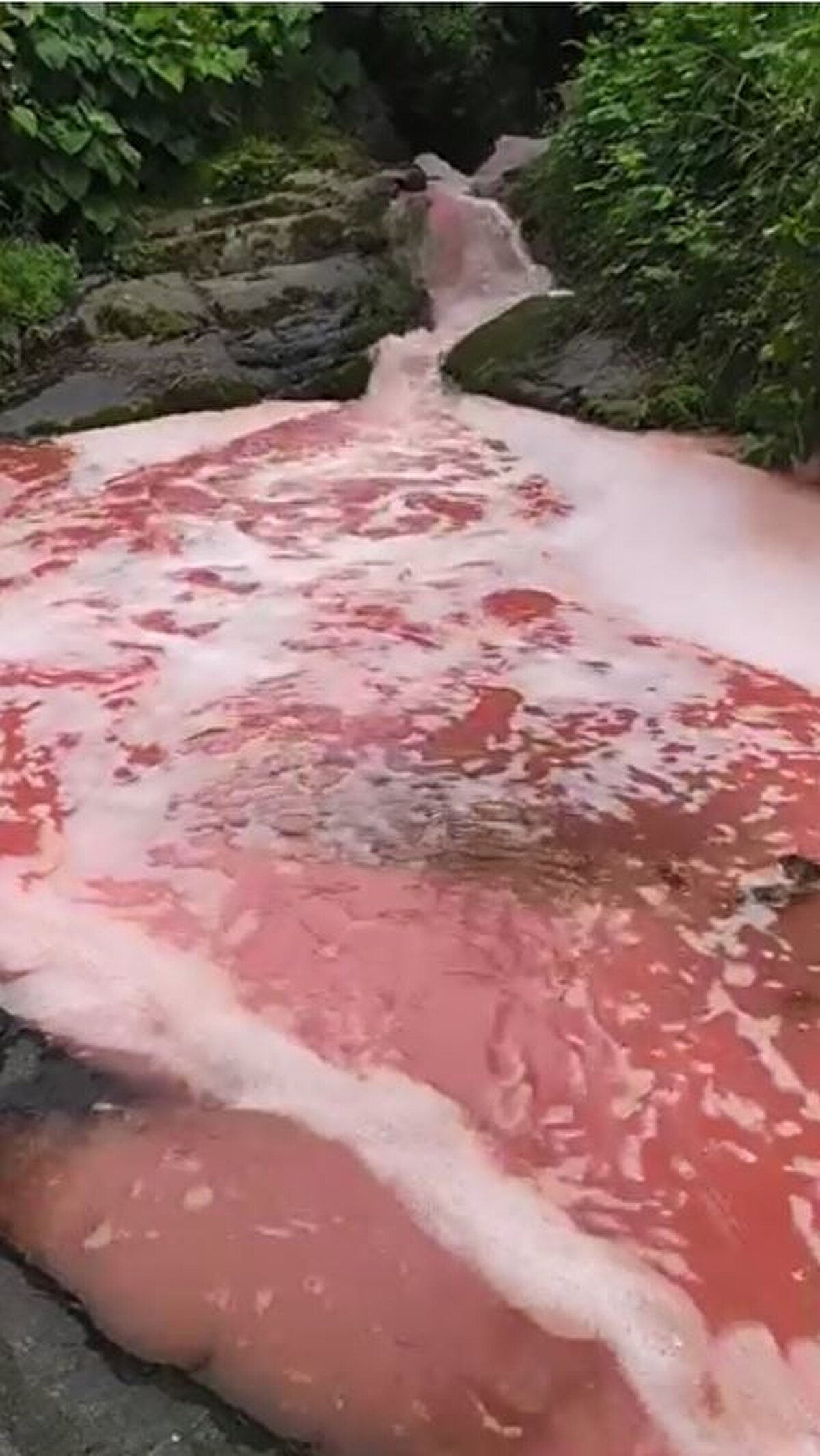 Dere suyu bir süre sonra normale dönerken, görüntüler üzerine harekete geçen Çevre, Şehircilik ve İklim Değişikliği İl Müdürlüğü ekipleri, sudan aldıkları numuneleri incelemeye aldı.