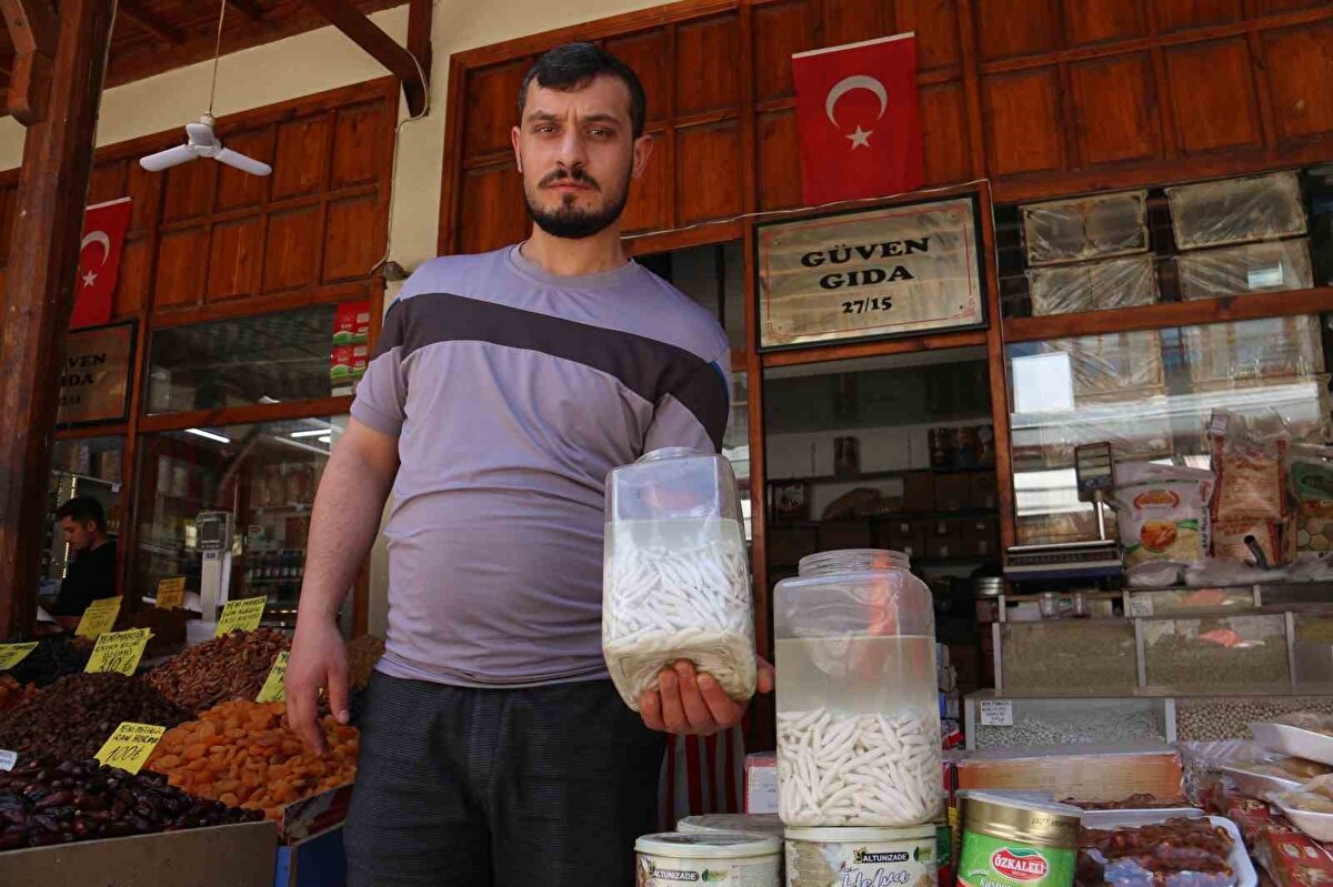 Kenger sakızı ilkbahar aylarında Sivas’ta kırsal alanlarda yetişen kenger bitkisinin kökünde bulunan beyaz süt kıvamındaki özden elde ediliyor. Sakız, hem zahmetli üretim süreci hem de sağlık açısından taşıdığı faydalarıyla da dikkat çekiyor.