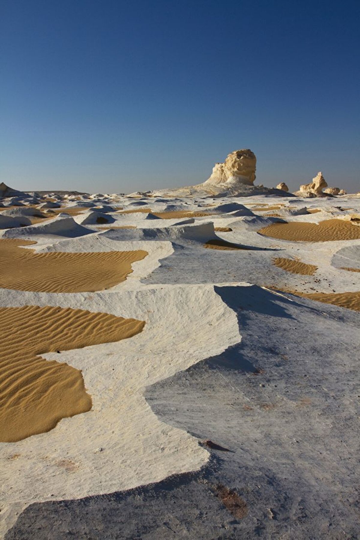 Beyaz Çöl, Bahariye Oasis (Bahariye Vahası) olarak anılan bölgede bulunuyor.