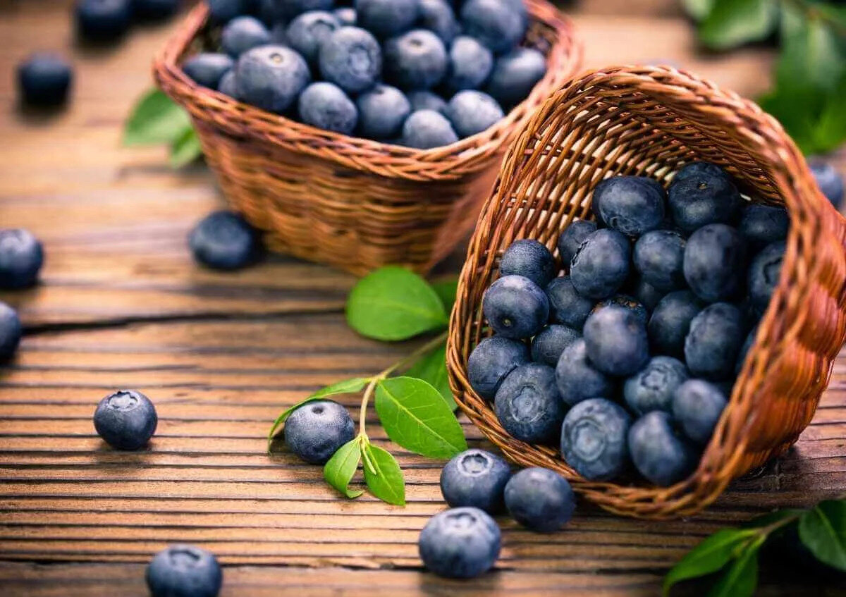 4. Sindirim sistemi dostu<br><br>Bağırsaklarınızın sağlığı, genel ruh halinizle yakından ilişkili. Yaban mersini, içerdiği lif sayesinde sindirim sistemini destekliyor, kabızlığı önlüyor ve bağırsak florasını dengeleyerek şişkinlik gibi sorunlara iyi geliyor.