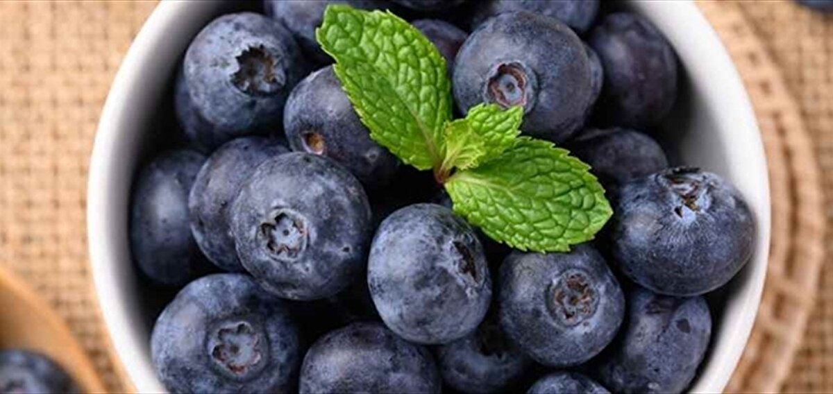 5. Işıldayan bir cilt için doğal destek<br><br>Daha parlak, genç ve sağlıklı bir cilt hayal ediyorsanız, cevabınız yine yaban mersini olabilir. Antioksidanlar sayesinde cilt hücrelerini yeniler, kolajen üretimini destekler ve cildi çevresel etkenlere karşı korur.