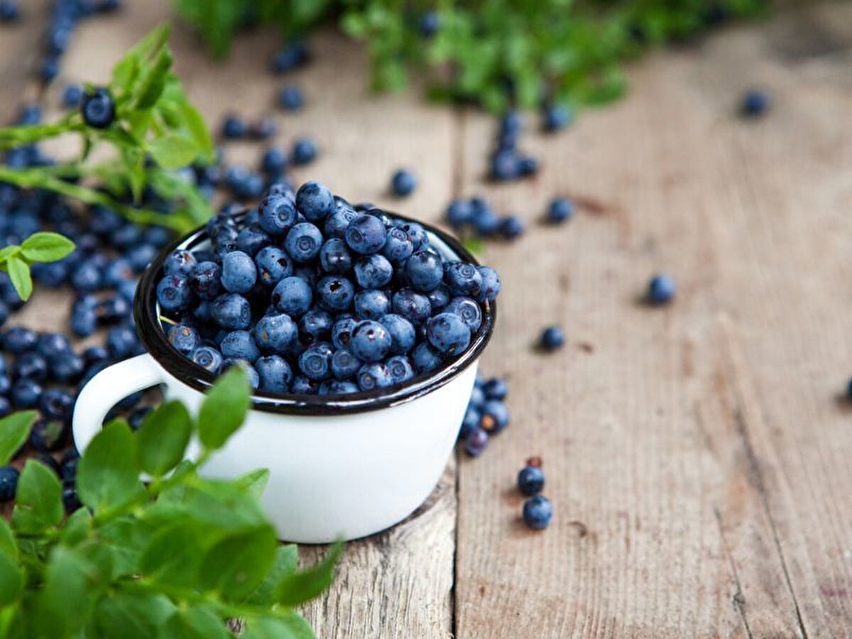 Rengiyle göz kamaştıran, tadıyla damakları şenlendiren yaban mersini, yalnızca lezzetiyle değil, sağlığa olan etkileriyle de adından söz ettiriyor. Özellikle son yıllarda yapılan bilimsel araştırmalar, bu küçük meyvenin büyük faydalar sunduğunu ortaya koyuyor. National Library of Medicine kaynaklı çalışmalara göre; yaban mersini tüketmek kalp hastalıkları, tip 2 diyabet ve obezite risklerini azaltabiliyor. İşte her gün bir avuç yaban mersini yemeniz için 7 güçlü neden!