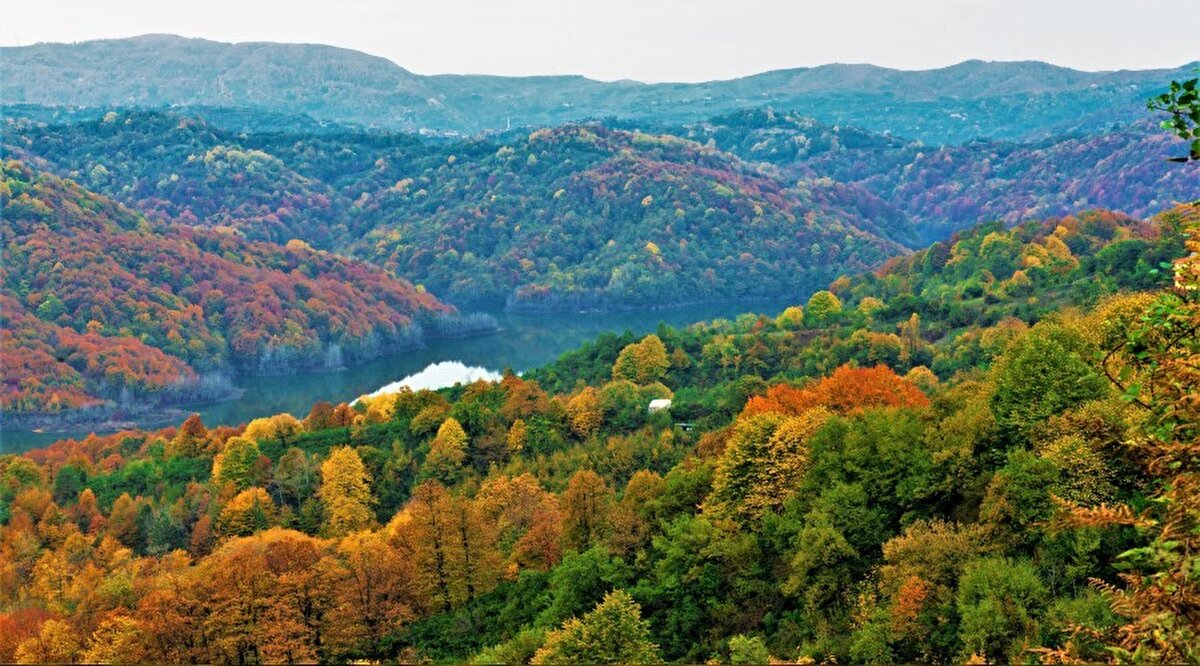 4- Uygulama mevcut orman varlığına zarar verir mi, ormanları imara açık hale getirir mi?<br><br>- Çalışmanın böyle bir duruma sebebiyet vermesi kesinlikle söz konusu değil. 2B arazileri yaklaşık 100 bin hektar alanı kapsayan zaten sınırları belirlenen, halihazırda vatandaşlar tarafından kullanılan 1981 yılından önce orman vasfını yitirmiş atıl alanlar olarak kabul ediliyor.