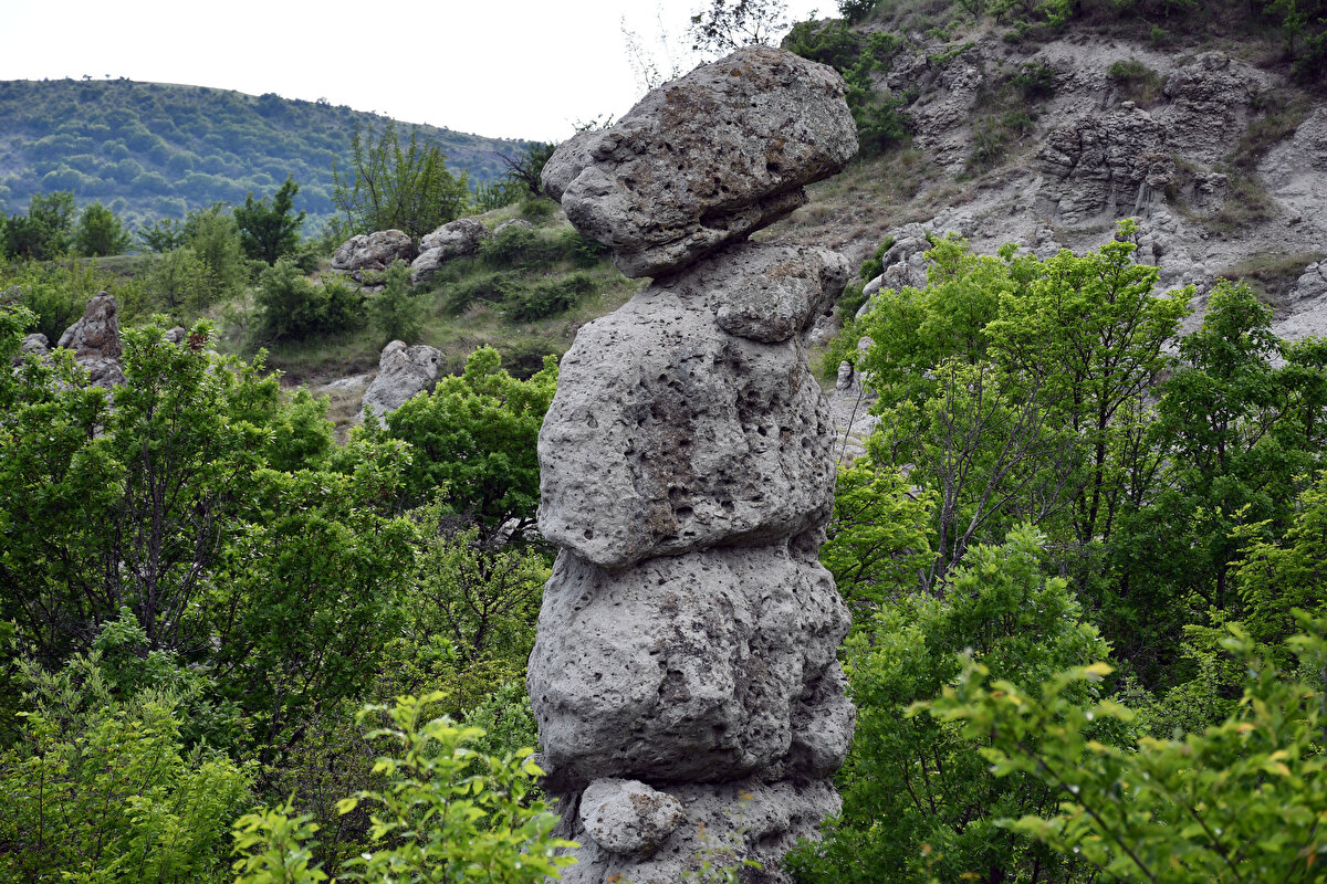 Köyün turizme kazandırılması adına aktiviteler düzenlediklerini de kaydeden Dimitrovska Booth, Kuzey Makedonya devletinden bu hususta destek beklediklerini söyledi.