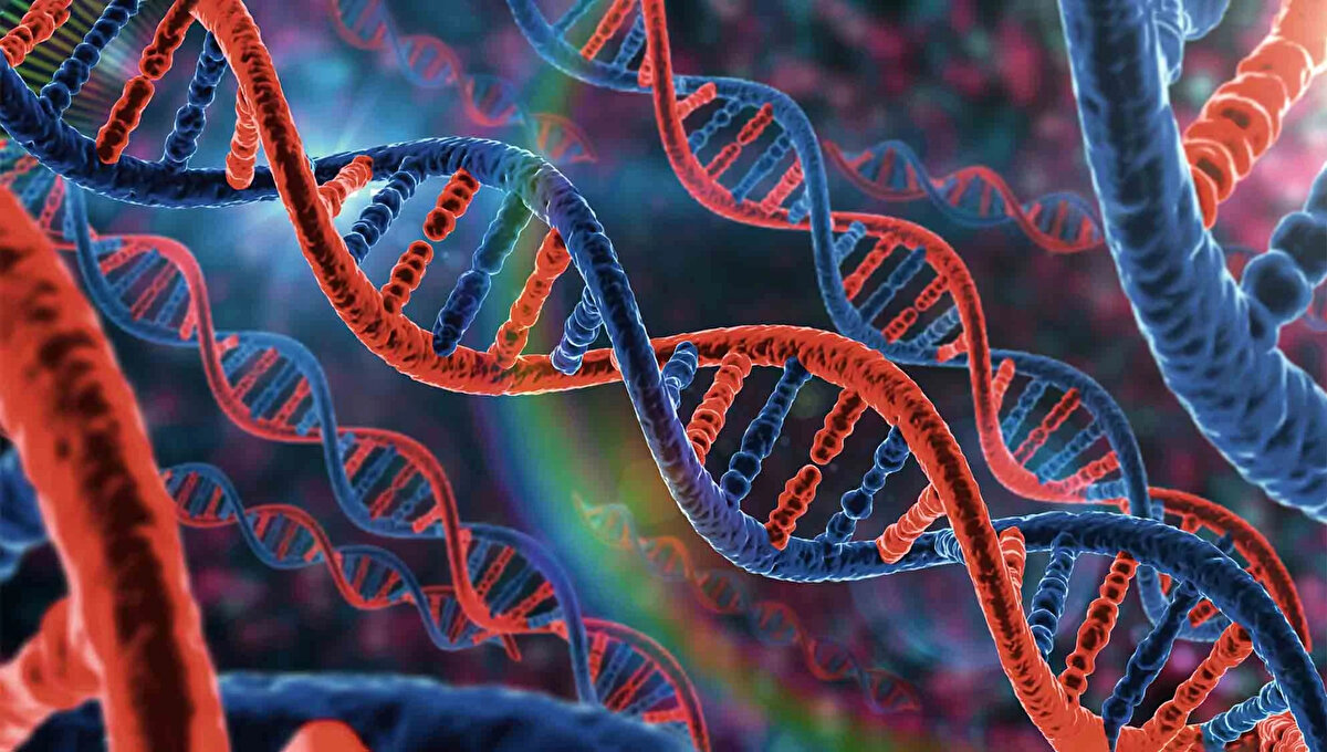 Genetik Yatkınlık: Ailede bağırsak kanseri öyküsü, Lynch sendromu ya da FAP gibi kalıtsal hastalıklar.