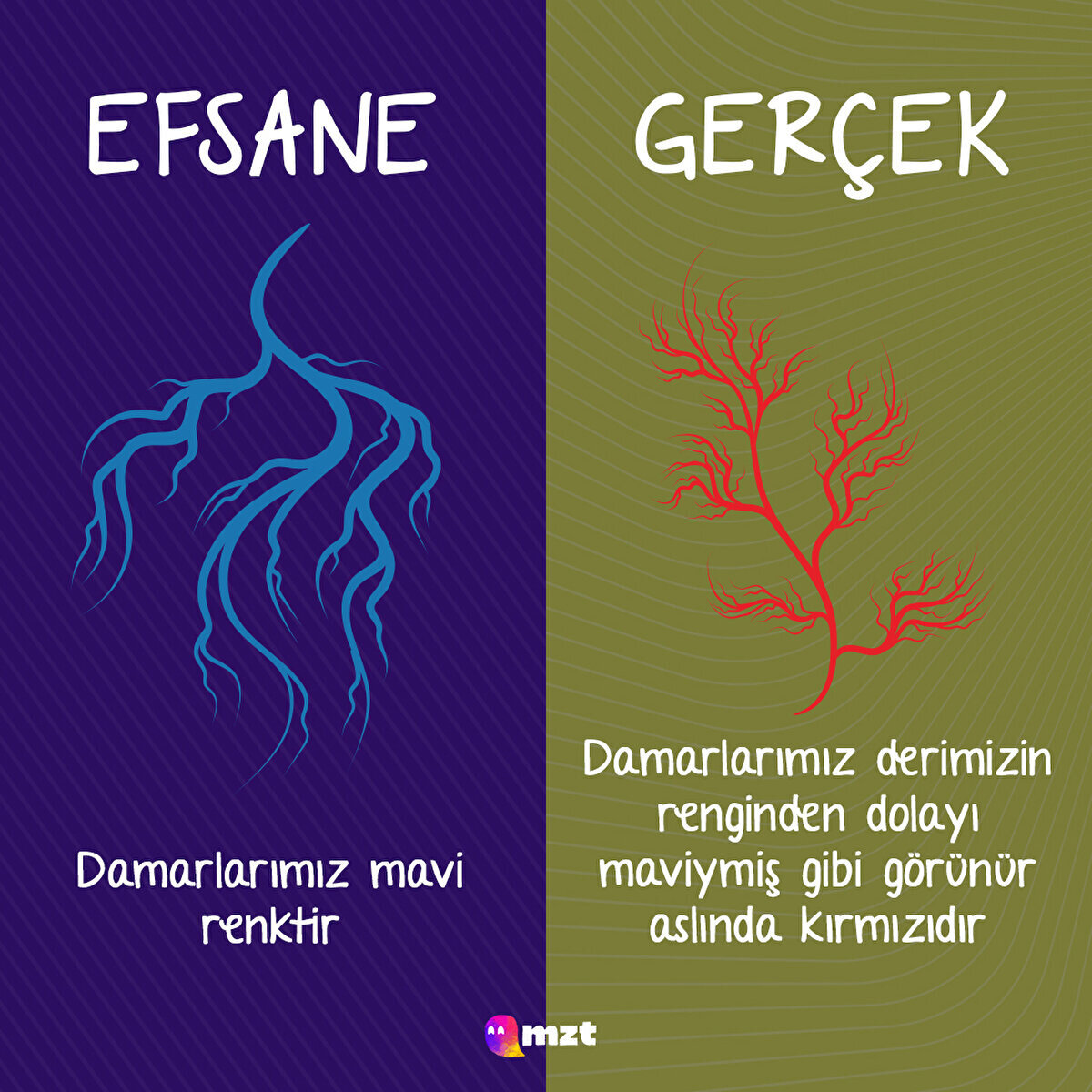 Damarlarımız mavi renk değildir
