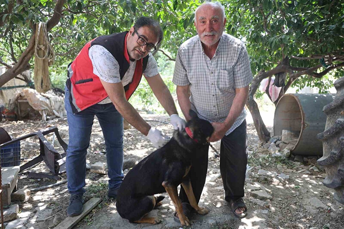 Adana Veteriner Kontrol Araştırma Enstitüsü Laboratuvarı’na gönderilen numunede yapılan analizde kuduz hastalığı tespit edildi.
