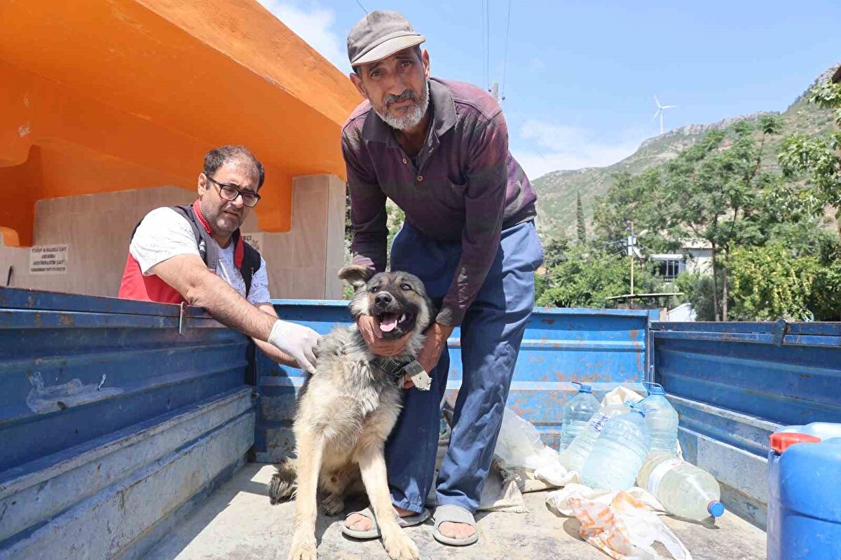 Samandağ ilçesi Tekebaşı Mahallesi’nde başıboş bir köpekte kuduz belirtisi görülmesi üzerine bölgeye gelen ekiplerce numune alındı. 