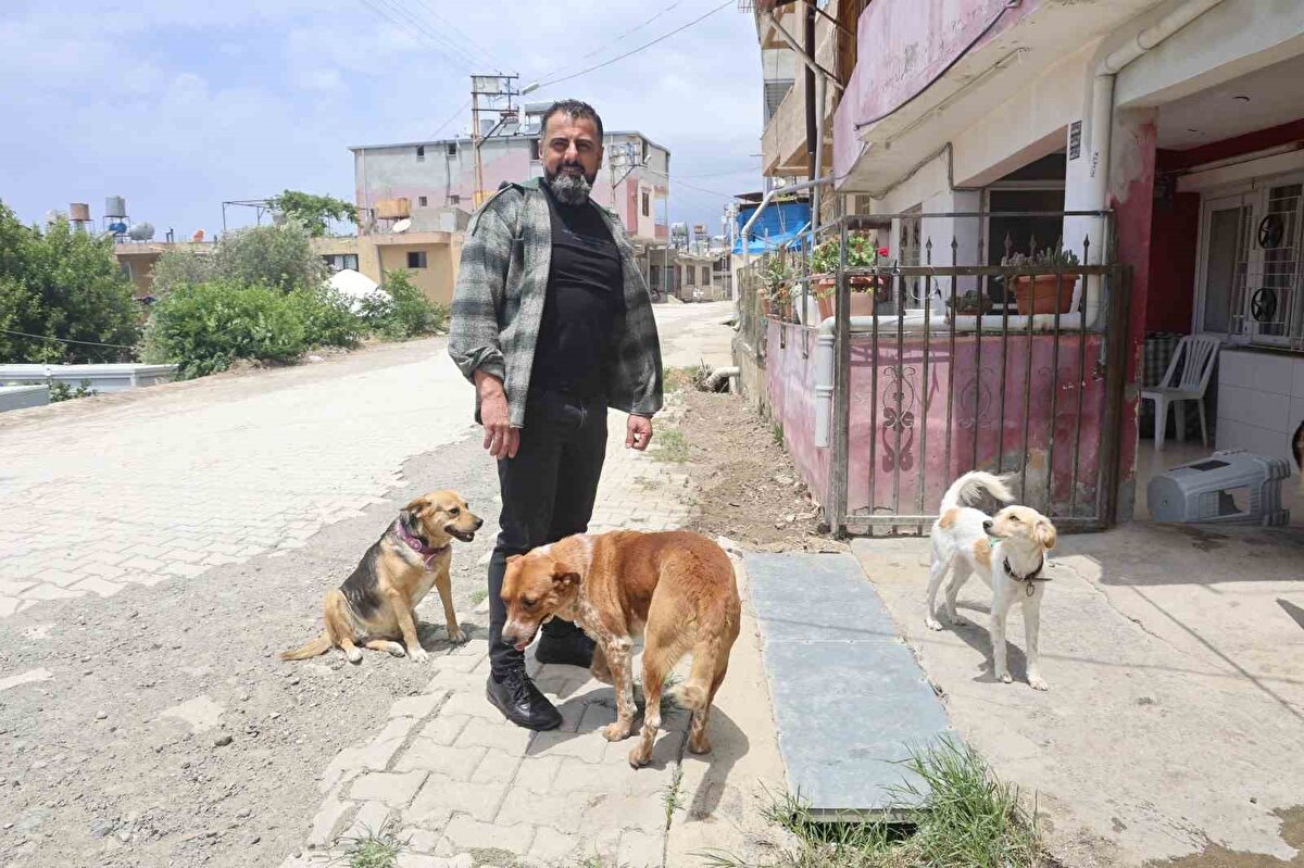 Bunun üzerine Samandağ İlçe Hayvan Sağlığı Zabıtası Komisyon kararıyla Tekebaşı, Meydan, Gözene ve Çöğürlü mahalleleri karantinaya alınarak, bölgeye hayvan giriş ve çıkışı yasaklandı. İl Tarım ve Orman Müdürlüğü ekipleri de bölgede aşılama çalışması başlattı.