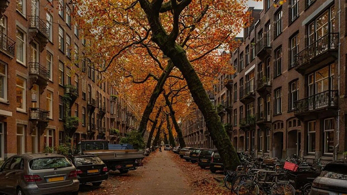 10. Lomanstraat, Amsterdam, Hollanda