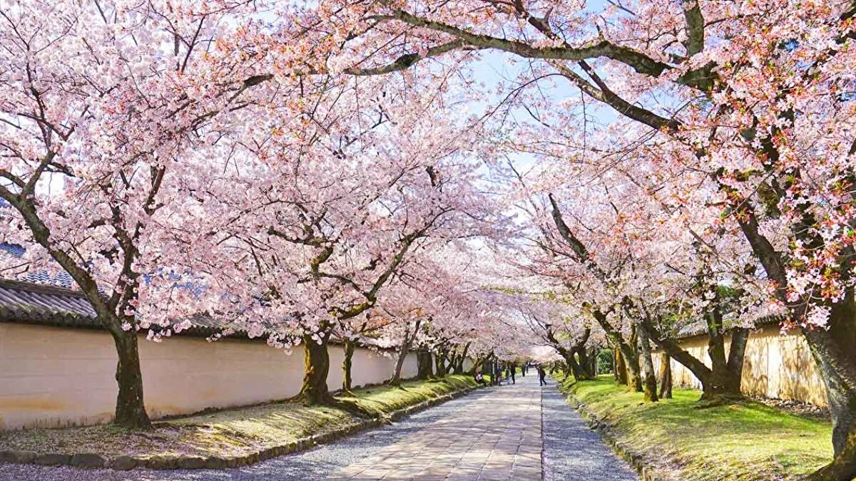 17. Filozofların Yolu Kyoto Yol, adını günlük yürüyüşleri için burayı düzenli olarak kullandıklarına inanılan, 20. yüzyılın iki önemli Japon filozofu ve Kyoto Üniversitesi profesörü olan Nishida Kitaro ve Hajime Tanabe'den alıyor.<br><br>