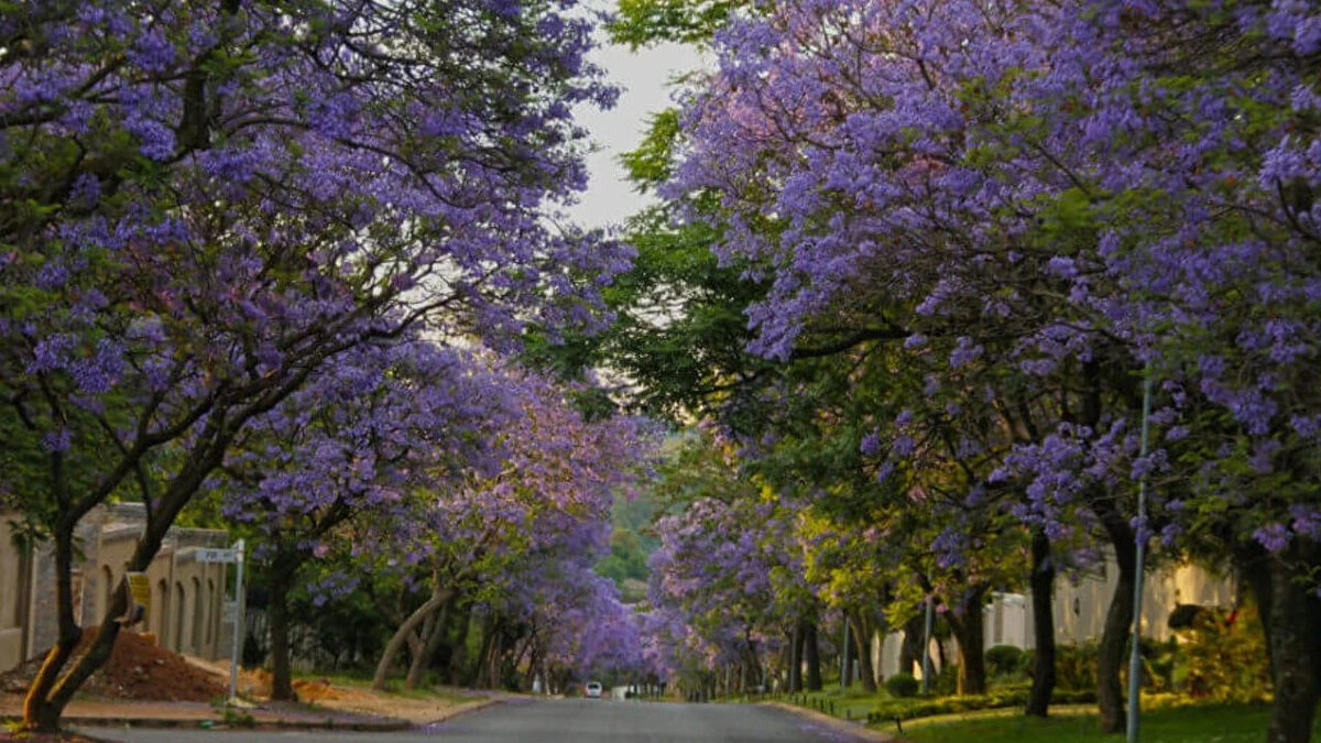 19. Herbert Baker Caddesi, Pretoria, Güney Afrika