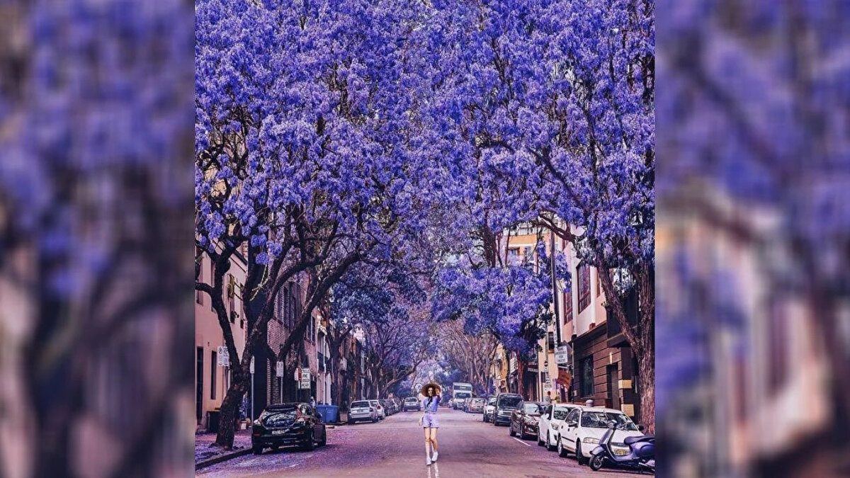 20. Oxford Caddesi, Sidney