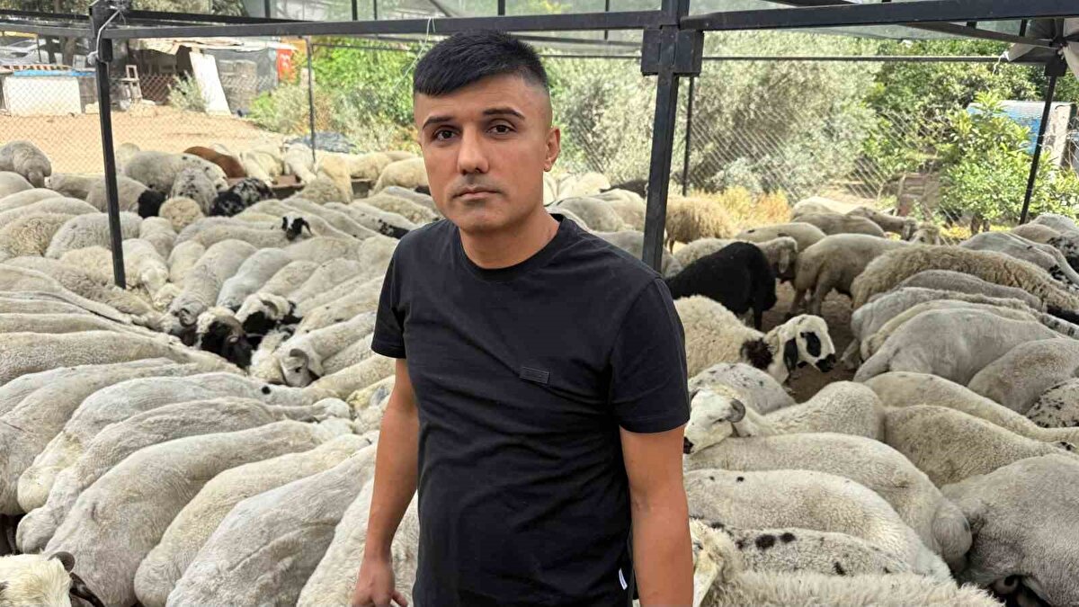 Kurbanlık almaya gelen vatandaşlardan Yakup Durdu ise fiyatların iyi olduğunu, bu sene bütün kurban pazarlarında her bütçeye uygun kurbanlık satıldığını söyledi.