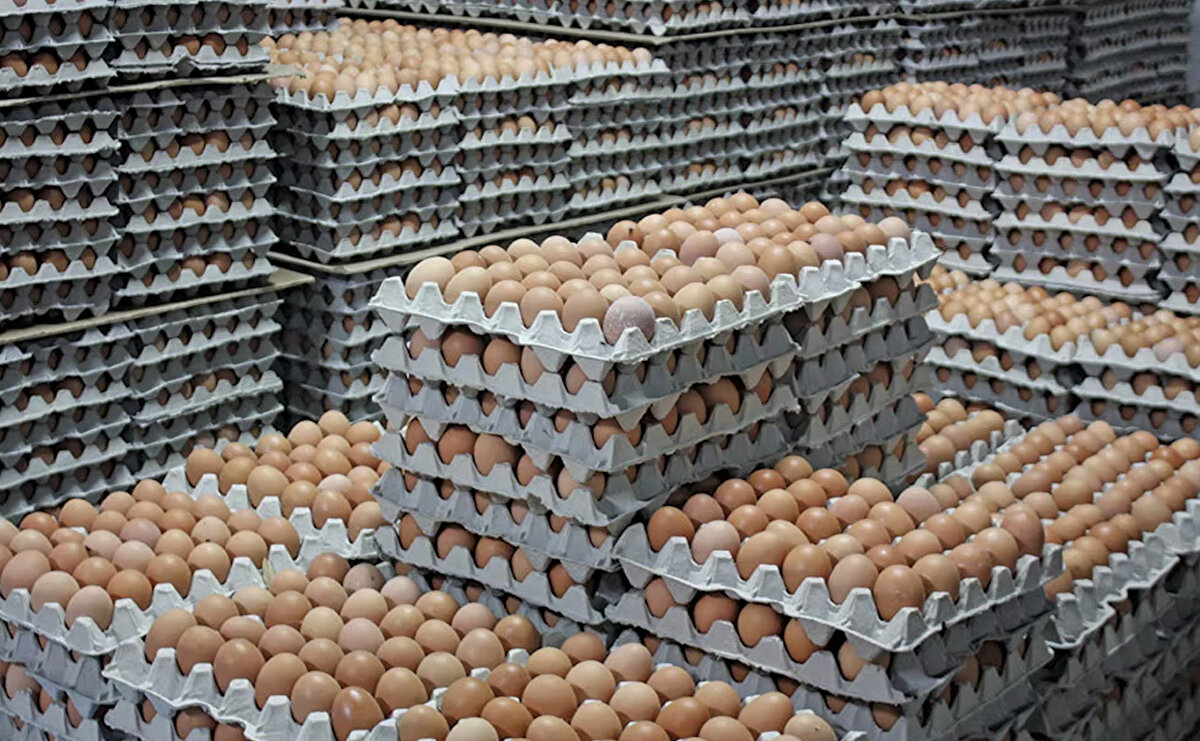 Yumurta fiyatları geçtiğimiz aylarda 200 liraya kadar yaklaşarak gündem olmuştu. Yerine herhangi bir ürün konulamadığı için temel ihtiyaç halinde olan yumurtanın fiyatının düşmesini bekleyen vatandaşların nefes alacağı haber de geldi.