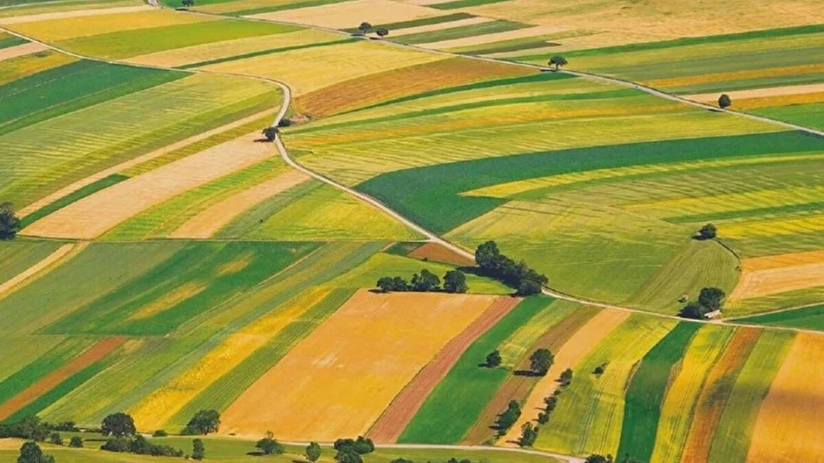 Katılım teminatı ne kadar?<br><br>Muhammen bedeli 0 - 2.500.000 TL arası olan her arsa için ayrı ayrı 100.000-TL<br><br>Muhammen bedeli 2.500.0001 - 10.000.000 TL arası olan her arsa için ayrı ayrı 500.000-TL<br><br>Muhammen bedeli 10.000.001 - 25.000.000 TL arası olan her arsa için ayrı ayrı 2.000.000-TL<br><br>Muhammen bedeli 25.000.001 - 50.000.000 TL arası olan her arsa için ayrı ayrı 3.000.000-TL<br><br>Muhammen bedeli 50.000.001 - 100.000.000 TL arası olan her arsa için ayrı ayrı 5.000.000-TL<br><br>Muhammen bedeli 100.000.000 TL’ den büyük olan her arsa için ise 10.000.000-TL katılım teminatı ödenecek.