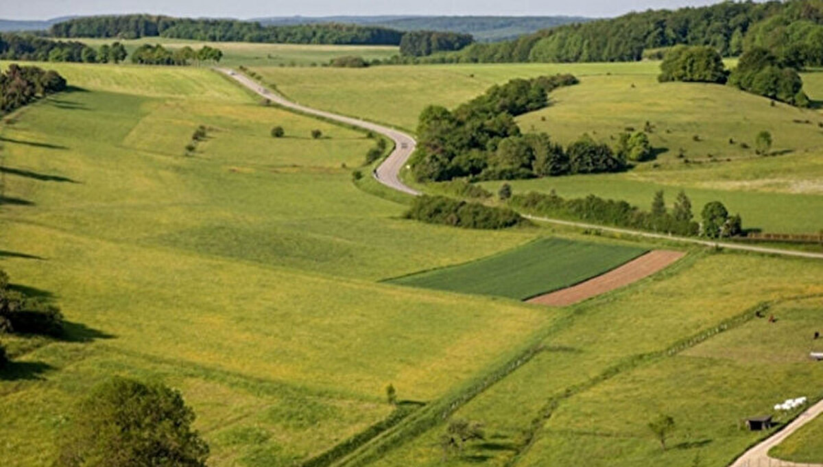 TOKİ 310 arsa hangi illerde?<br><br>Diyarbakır, Edirne, Kırklareli, İstanbul, Tekirdağ, Kocaeli, Bursa, Bilecik, Sakarya, Çanakkale, İzmir, Manisa, Balıkesir, Antalya, Muğla, Gaziantep, Adana, Adıyaman, Mersin, Hatay, Kahramanmaraş, Şanlıurfa, Elazığ, Ankara, Afyonkarahisar, Aksaray, Çankırı, Çorum, Eskişehir, Karaman, Kayseri, Kırıkkale, Konya, Kütahya, Nevşehir, Niğde, Denizli, Erzincan, Malatya, Samsun, Muş