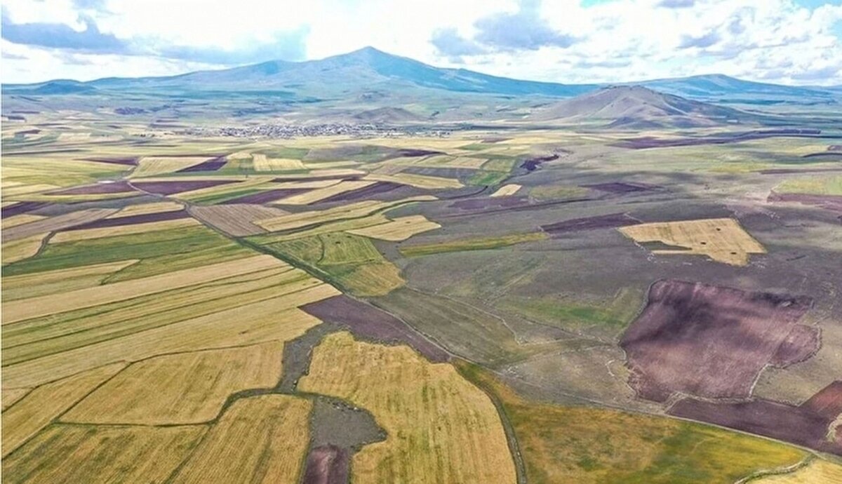 TOKİ 41 ilde 310 muhtelif arsa satışı nerede ve ne zaman yapılacak?<br><br>Açık artırma toplantısı 19-20 Haziran 2025 saat 10.30'da başlayacak. Toplantı, Bilkent Otel Bilkent-ÇankayaAnkara, Halkalı Hizmet Binası Halkalıİstanbul adreslerinde fiziki olarak gerçekleşirken  www.emlakmuzayede.com.tr’den de online katılım sağlanabilecek. 