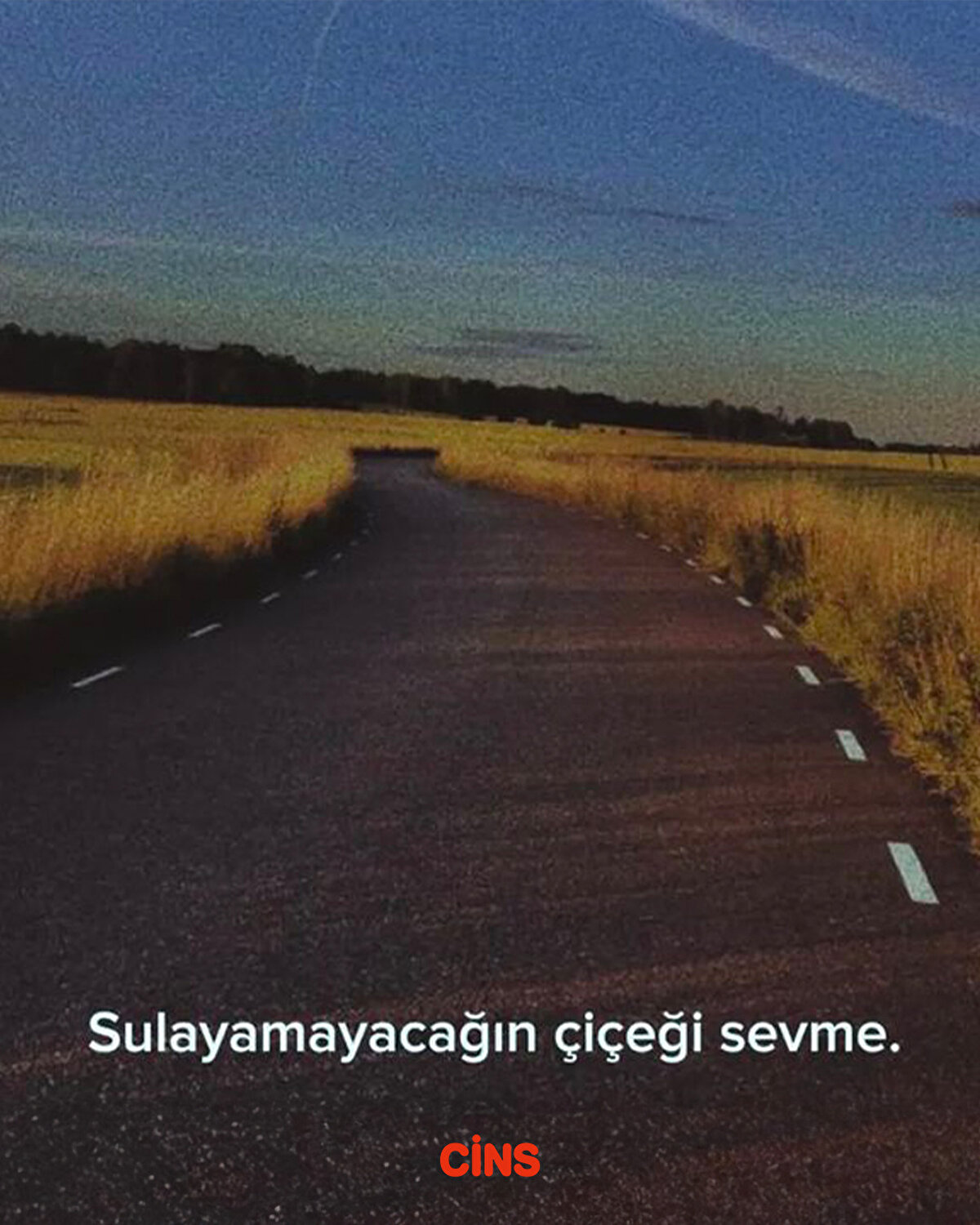 Sulamayacağın çiçeği sevme
